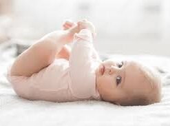 Đồ Trang Trí & Lifestyle